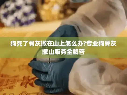 狗死了骨灰撒在山上怎么办?专业狗骨灰撒山服务全解答