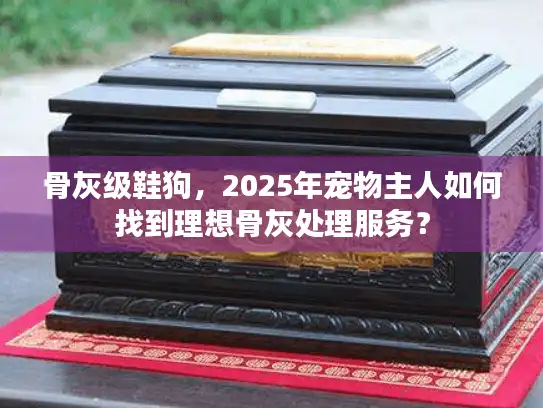 骨灰级鞋狗，2025年宠物主人如何找到理想骨灰处理服务？