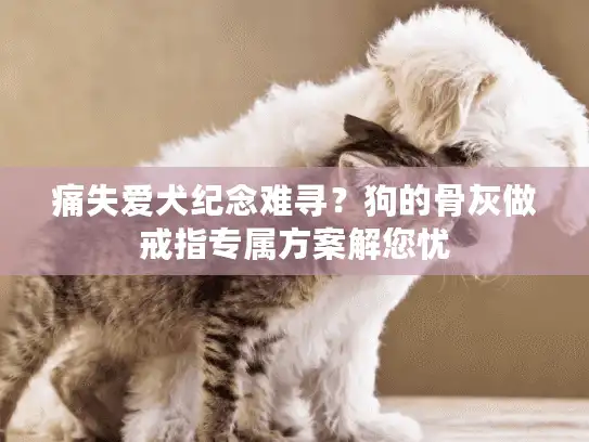 痛失爱犬纪念难寻？狗的骨灰做戒指专属方案解您忧