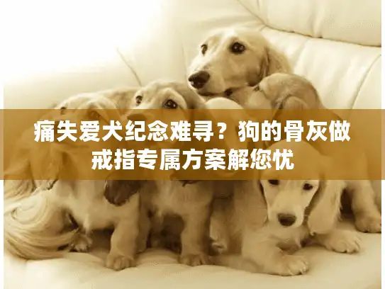 痛失爱犬纪念难寻？狗的骨灰做戒指专属方案解您忧