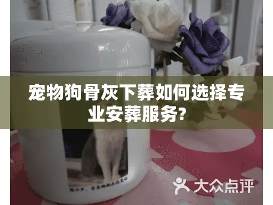 宠物狗骨灰下葬如何选择专业安葬服务?