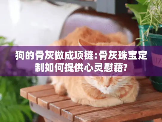 狗的骨灰做成项链:骨灰珠宝定制如何提供心灵慰藉?