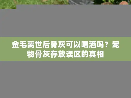 金毛离世后骨灰可以喝酒吗？宠物骨灰存放误区的真相