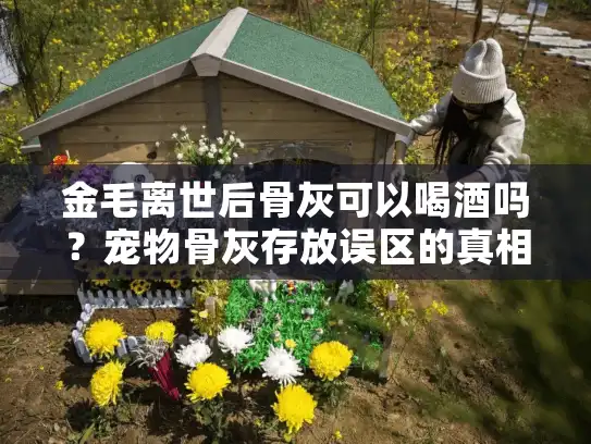金毛离世后骨灰可以喝酒吗？宠物骨灰存放误区的真相