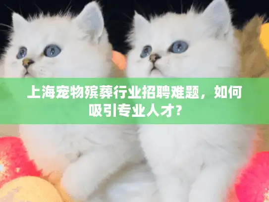 上海宠物殡葬行业招聘难题，如何吸引专业人才？