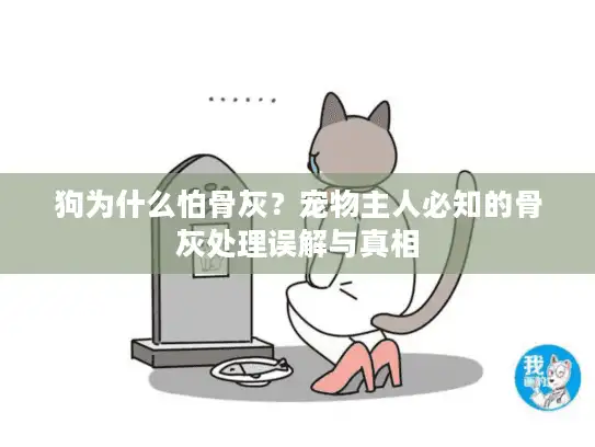 狗为什么怕骨灰？宠物主人必知的骨灰处理误解与真相