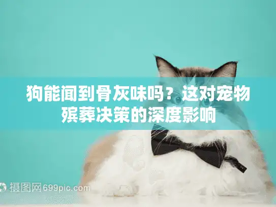 狗能闻到骨灰味吗？这对宠物殡葬决策的深度影响