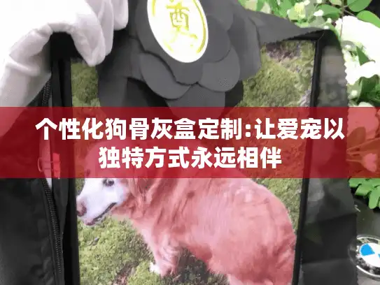 个性化狗骨灰盒定制:让爱宠以独特方式永远相伴