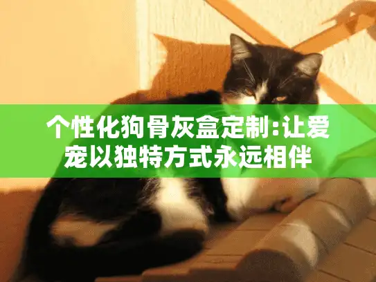 个性化狗骨灰盒定制:让爱宠以独特方式永远相伴