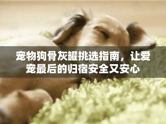 宠物狗骨灰罐挑选指南，让爱宠最后的归宿安全又安心