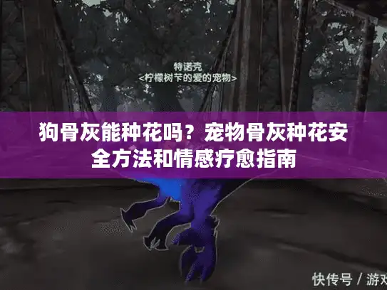 狗骨灰能种花吗？宠物骨灰种花安全方法和情感疗愈指南