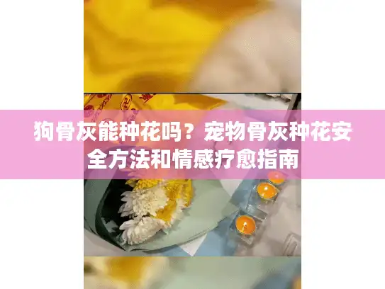 狗骨灰能种花吗？宠物骨灰种花安全方法和情感疗愈指南