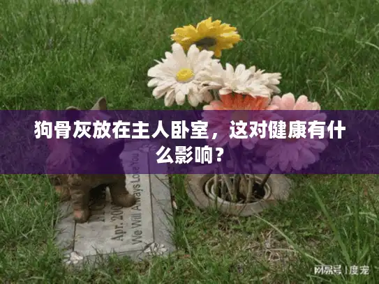 狗骨灰放在主人卧室，这对健康有什么影响？