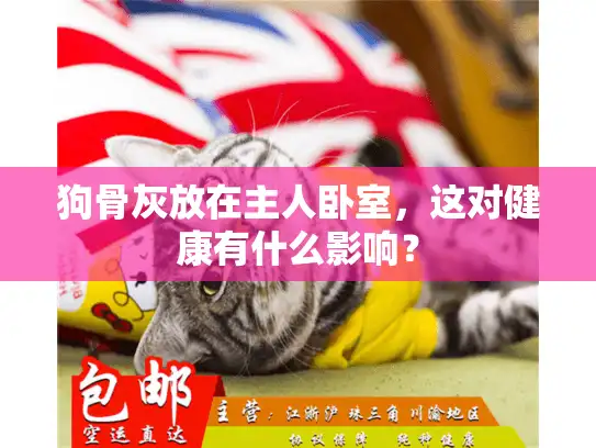 狗骨灰放在主人卧室，这对健康有什么影响？