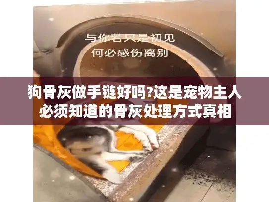 狗骨灰做手链好吗?这是宠物主人必须知道的骨灰处理方式真相