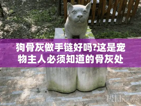 狗骨灰做手链好吗?这是宠物主人必须知道的骨灰处理方式真相