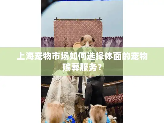 上海宠物市场如何选择体面的宠物殡葬服务？