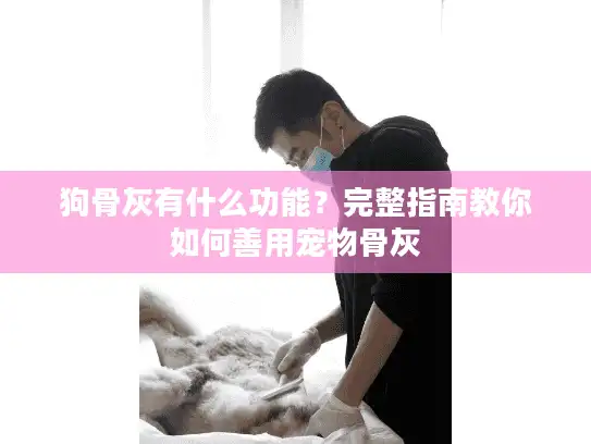 狗骨灰有什么功能？完整指南教你如何善用宠物骨灰