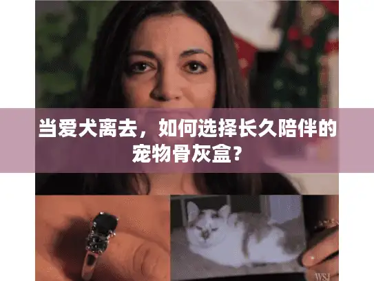 当爱犬离去，如何选择长久陪伴的宠物骨灰盒？