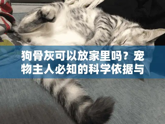 狗骨灰可以放家里吗？宠物主人必知的科学依据与家庭安放指南