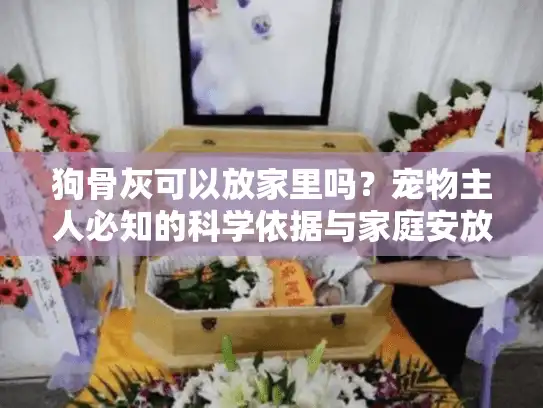 狗骨灰可以放家里吗？宠物主人必知的科学依据与家庭安放指南