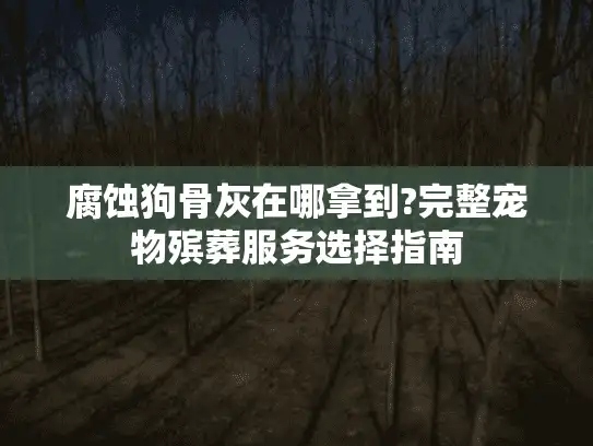 腐蚀狗骨灰在哪拿到?完整宠物殡葬服务选择指南