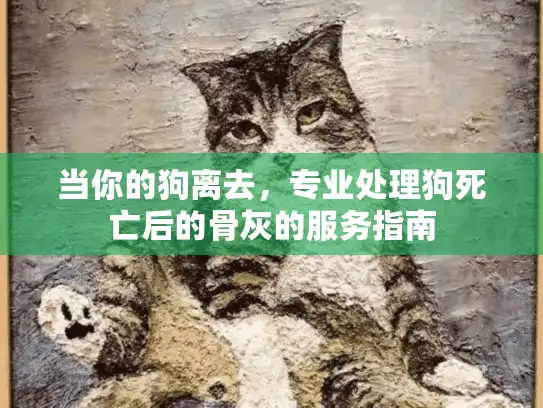 当你的狗离去，专业处理狗死亡后的骨灰的服务指南