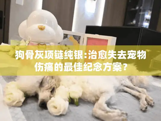 狗骨灰项链纯银:治愈失去宠物伤痛的最佳纪念方案？