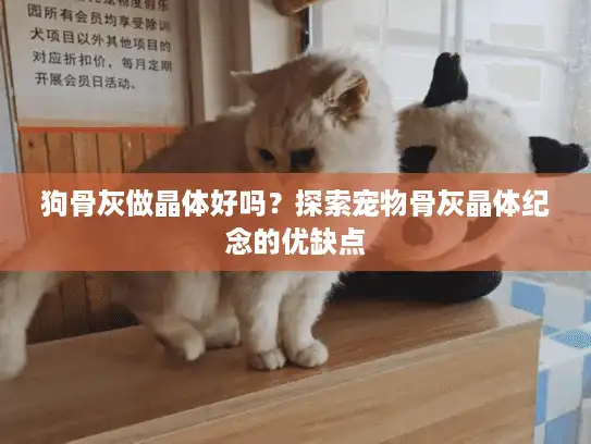 狗骨灰做晶体好吗？探索宠物骨灰晶体纪念的优缺点