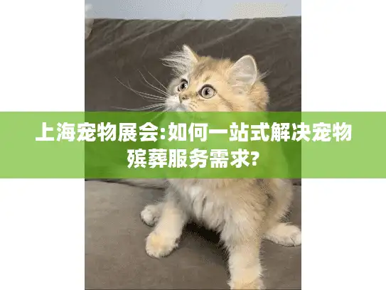 上海宠物展会:如何一站式解决宠物殡葬服务需求?