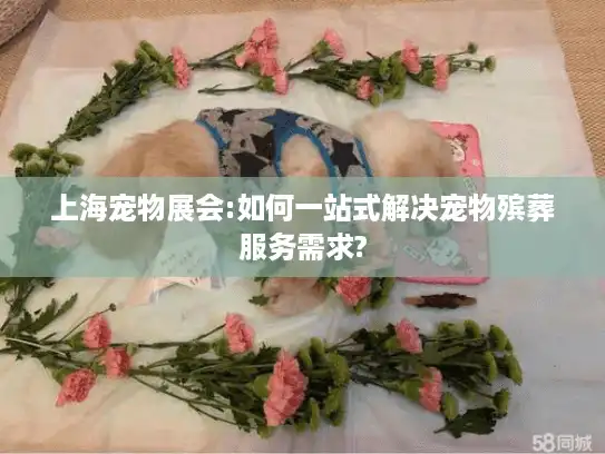 上海宠物展会:如何一站式解决宠物殡葬服务需求?