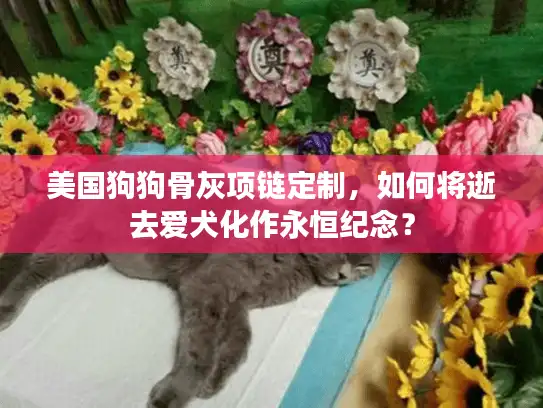 美国狗狗骨灰项链定制，如何将逝去爱犬化作永恒纪念？