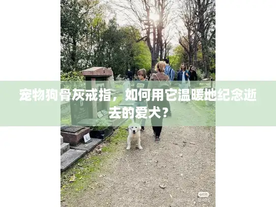 宠物狗骨灰戒指，如何用它温暖地纪念逝去的爱犬？