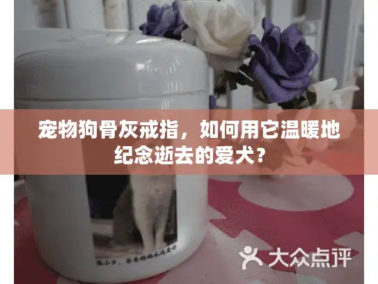 宠物狗骨灰戒指，如何用它温暖地纪念逝去的爱犬？