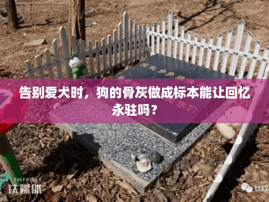 告别爱犬时，狗的骨灰做成标本能让回忆永驻吗？