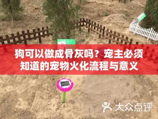 狗可以做成骨灰吗？宠主必须知道的宠物火化流程与意义