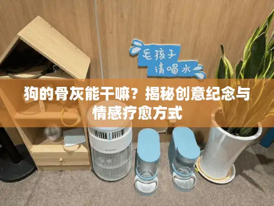 狗的骨灰能干嘛？揭秘创意纪念与情感疗愈方式