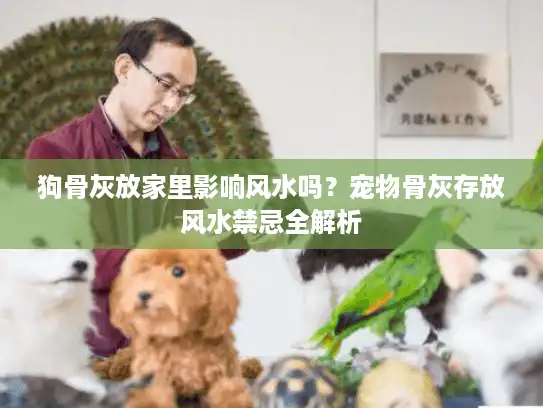 狗骨灰放家里影响风水吗？宠物骨灰存放风水禁忌全解析