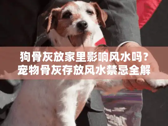 狗骨灰放家里影响风水吗？宠物骨灰存放风水禁忌全解析