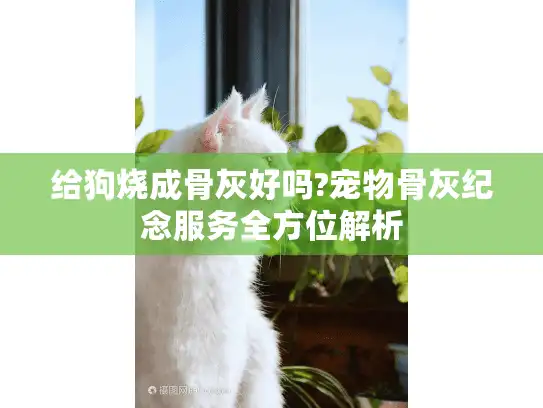 给狗烧成骨灰好吗?宠物骨灰纪念服务全方位解析