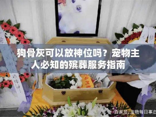 狗骨灰可以放神位吗？宠物主人必知的殡葬服务指南