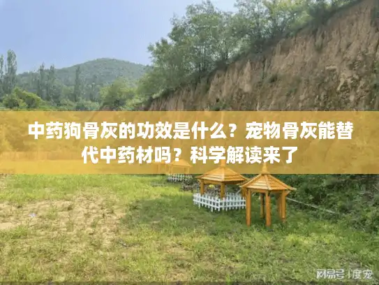 中药狗骨灰的功效是什么？宠物骨灰能替代中药材吗？科学解读来了