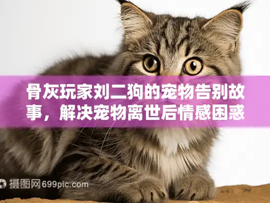 骨灰玩家刘二狗的宠物告别故事，解决宠物离世后情感困惑的专业指南