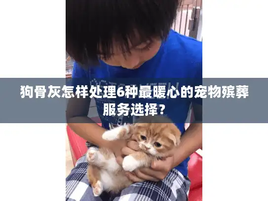 狗骨灰怎样处理6种最暖心的宠物殡葬服务选择？