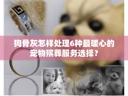 狗骨灰怎样处理6种最暖心的宠物殡葬服务选择？