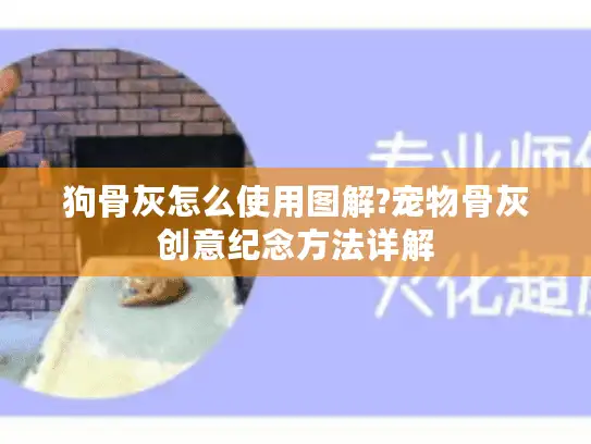 狗骨灰怎么使用图解?宠物骨灰创意纪念方法详解