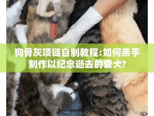 狗骨灰项链自制教程:如何亲手制作以纪念逝去的爱犬?