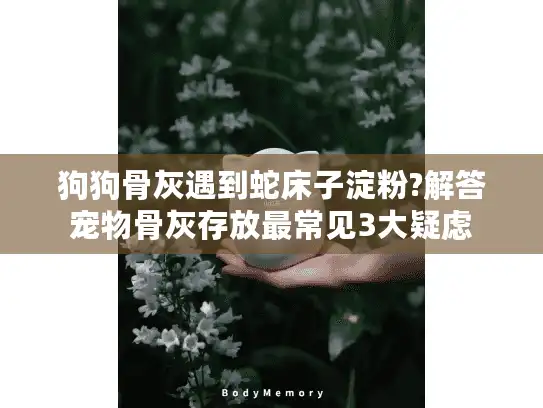 狗狗骨灰遇到蛇床子淀粉?解答宠物骨灰存放最常见3大疑虑