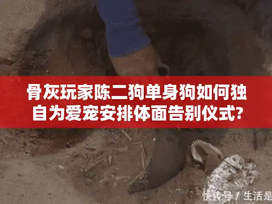 骨灰玩家陈二狗单身狗如何独自为爱宠安排体面告别仪式?