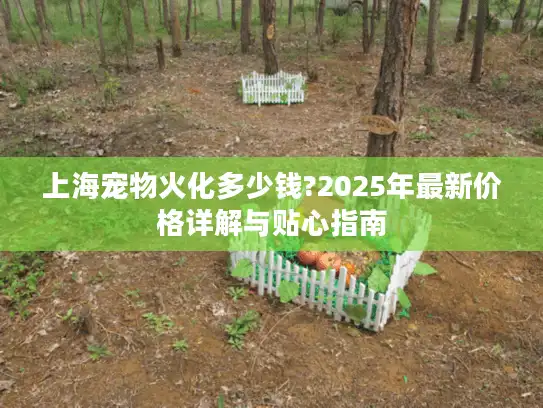 上海宠物火化多少钱?2025年最新价格详解与贴心指南